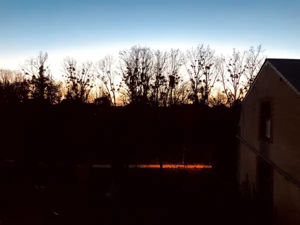 Coucher de soleil sur le jardin