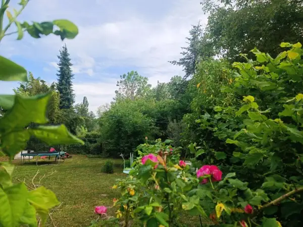 Jardin fleuri