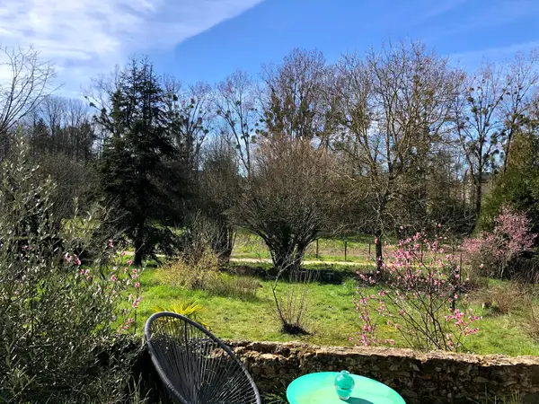 Jardin au printemps avec cerisiers en fleurs