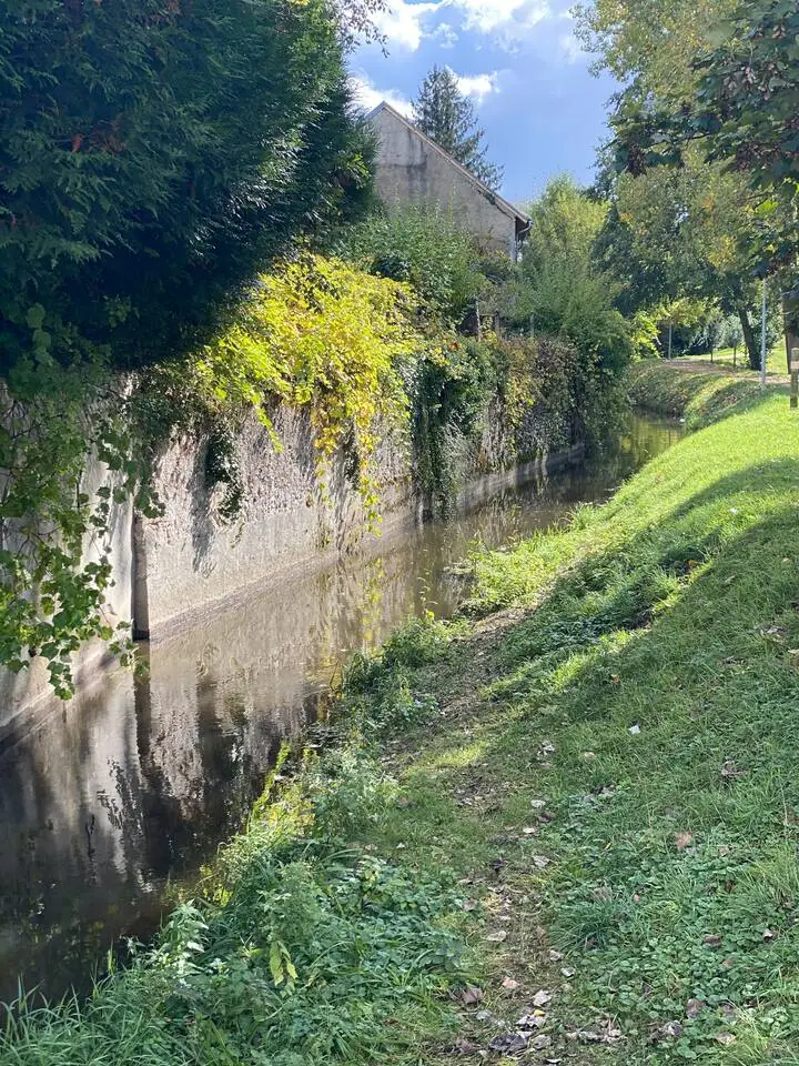 La Nère, rivière qui coule au bout du jardin de La Biscuiterie à Aubigny-sur-Nère