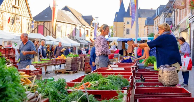 Étals de légumes frais au marché d'Aubigny
