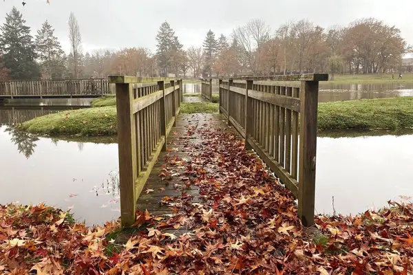 Passerelle du lac en automne