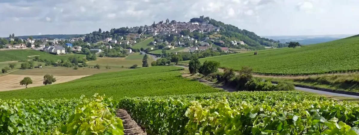 Vue panoramique sur les vignobles et le village de Sancerre