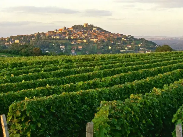 Vins de Sancerre et du Berry